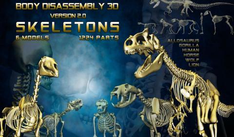 BodyDisassembly3D截图2
