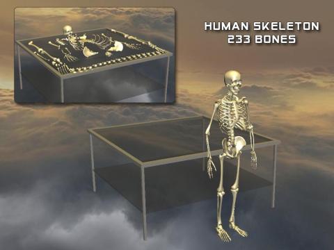 BodyDisassembly3D截图