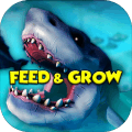 FeedandGrowFishGuide