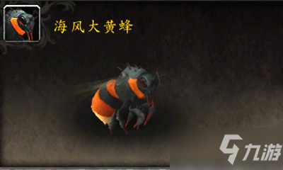 《魔兽世界》宠物海风大黄蜂怎么获得 宠物海风大黄蜂获取方法
