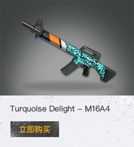 Turquoise Delight - M16A4