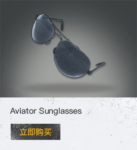 Aviator Sunglasses