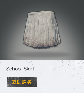 School Skirt