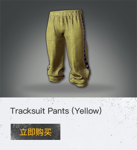 Tracksuit Pants (Yellow)