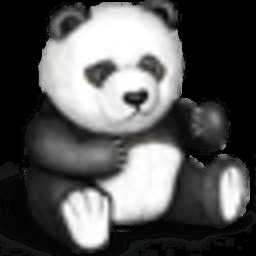 Cute Panda Break