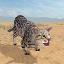 3D野猫传奇