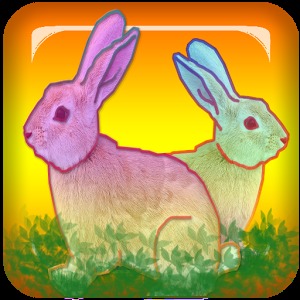 寻找简单而有趣的兔子游戏 Find Rabbits Game