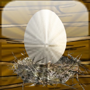 鸡蛋3D