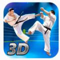 3D虎斗拳