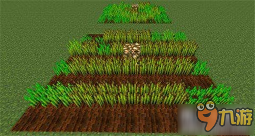 我的世界甘蔗的种植点怎么选 甘蔗种植点选取攻略