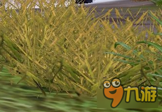 龙之谷溶解森林植物图鉴 龙之谷溶解森林植物名称