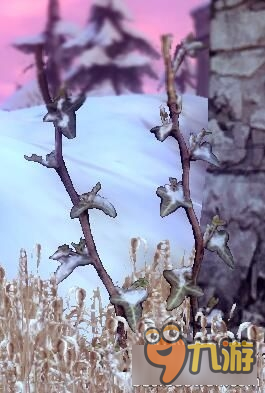 龙之谷溶解森林植物图鉴 龙之谷溶解森林植物名称
