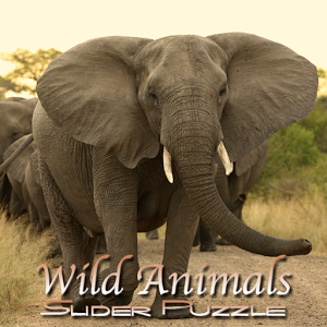 Wild Animals Slider Puzzle