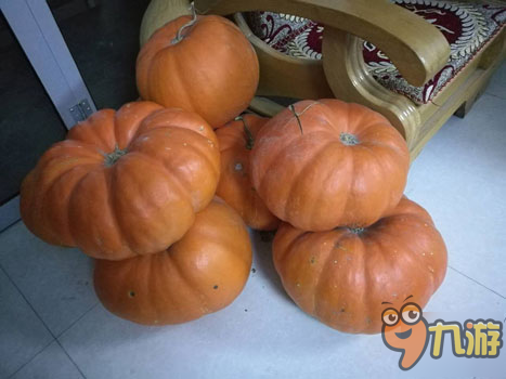 线上种菜 线下吃菜 《疯狂邻居》手游版开启社交游戏真实模式