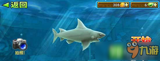 饥饿的鲨鱼进化灰鲭鲨怎么进化锤头鲨 进化攻略