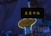 wow7.1.5亮顶节介绍 魔兽世界7.1.5亮顶节