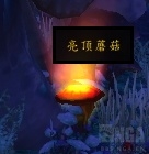 wow7.1.5亮頂節(jié)介紹 魔獸世界7.1.5亮頂節(jié)