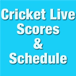 Ashes 2013 Live Cricket Scores