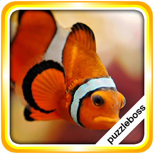 Aquarium Fish Jigsaw Puzzles