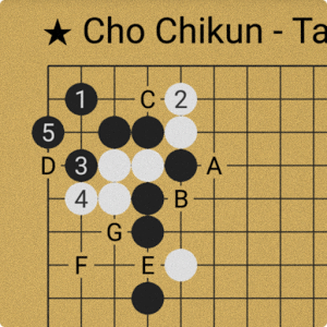 围棋猜测:Guess the Move