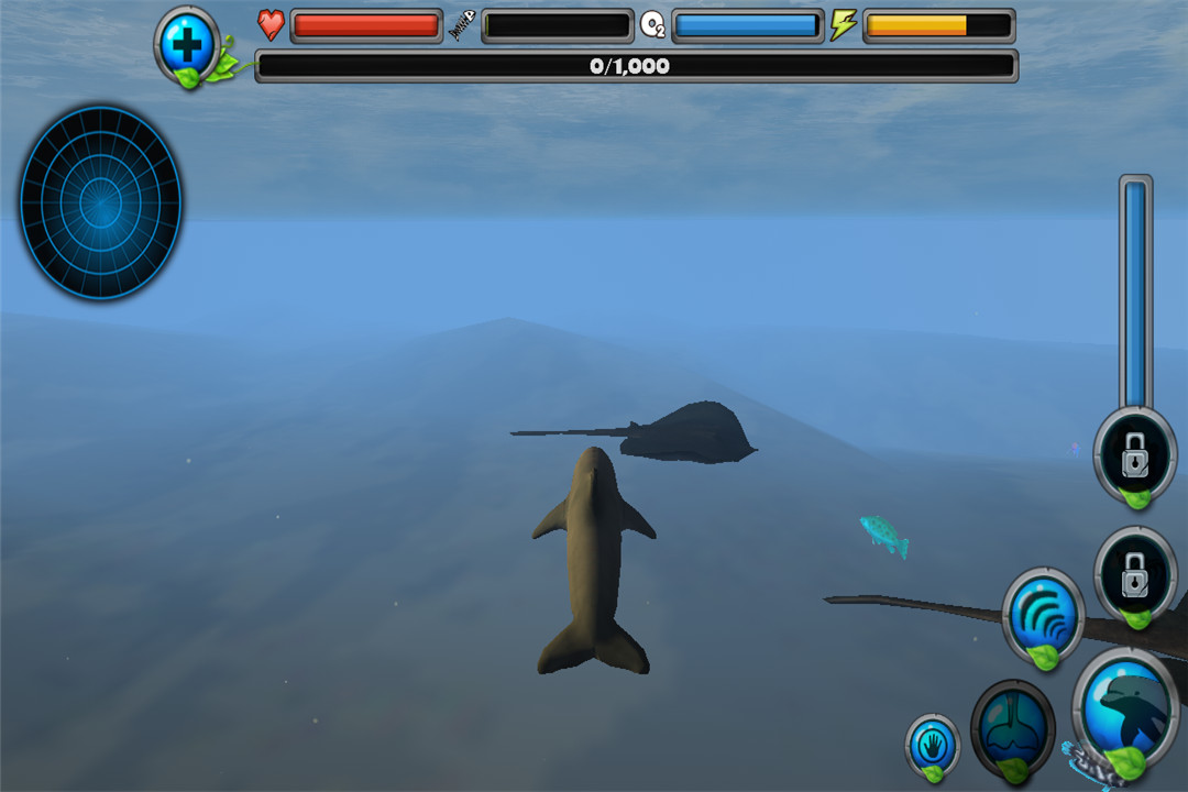 海豚模拟生存好玩吗 海豚模拟生存玩法简介