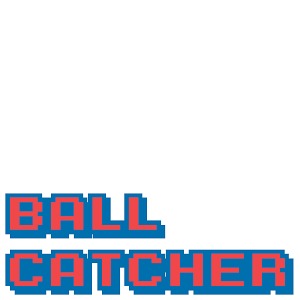 Ball Catcher 2014