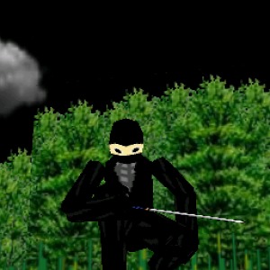 3D Ninja Game