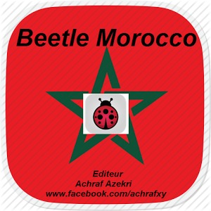 Beetle Morocco Game