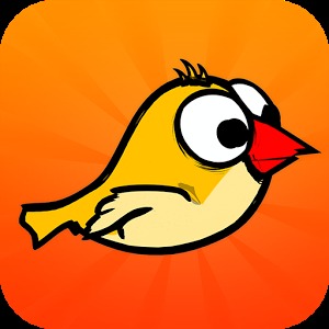 Amazing Bird Game