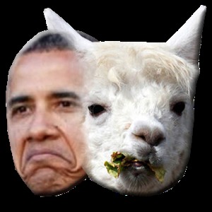 Obama or a Llama