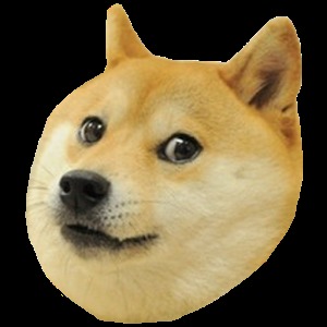 Doge Chase