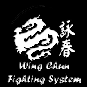 Wing Chun Fighting System