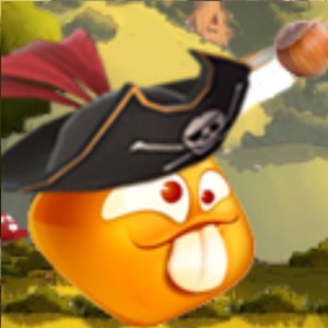 Revenge Of Pirate : Bird Hunt