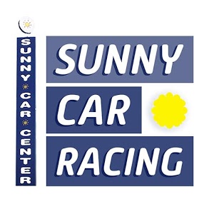 Sunny Car Racing