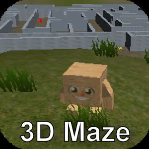 Boxy and the 3D Maze Labrinth