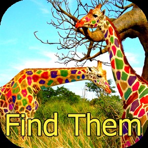 Photo Hunt Animal Game