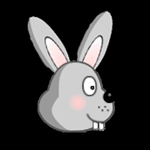 Funny Rabbit