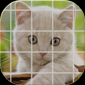 Tile Puzzle Cats (NoAds)