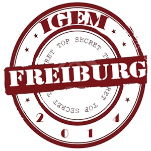 iGEM Freiburg Quiz