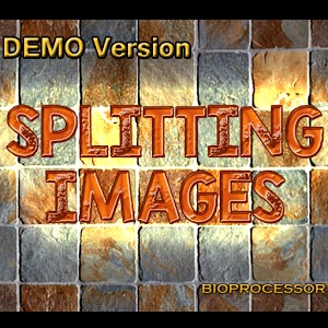 Splitting Images Demo
