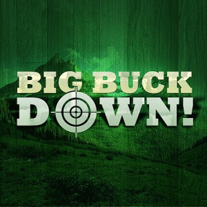 BigBuckDown!