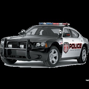 POLICE CAR RACING 3D COPS