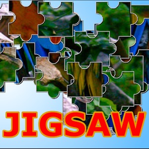 Fantastic Jigsaw Puzzler