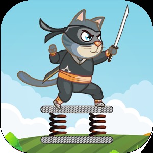 Spring Ninja Cat