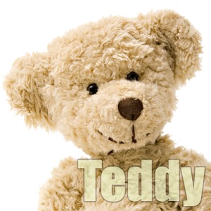 Teddy Slider Puzzle