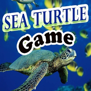 Sea Turtle Game