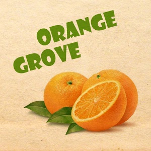 Orange Grove Test