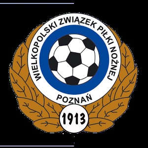 Wielkopolski ZPN