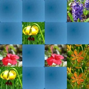 Flowers Hard Memory Game (HMG)