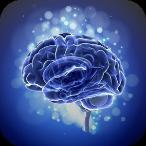 Brain Training Touch in Order